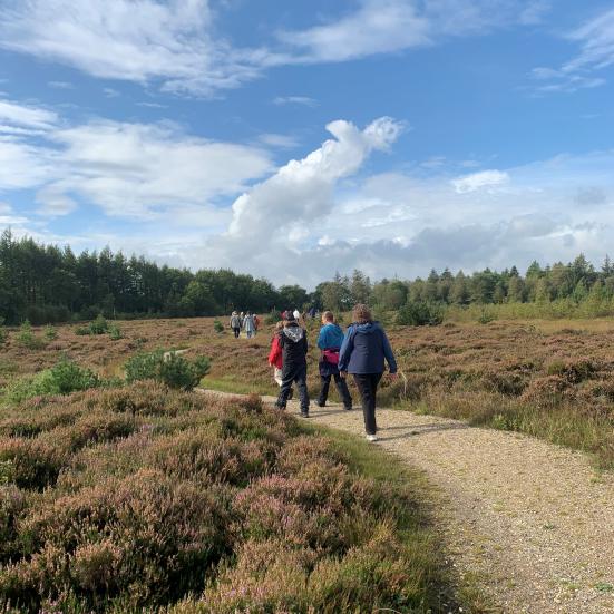 Billedet viser et hede-lignende landskab. På en sti i midten ses tre personer bagfra og på afstand